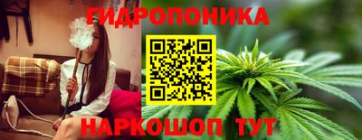гидропоника Пенза