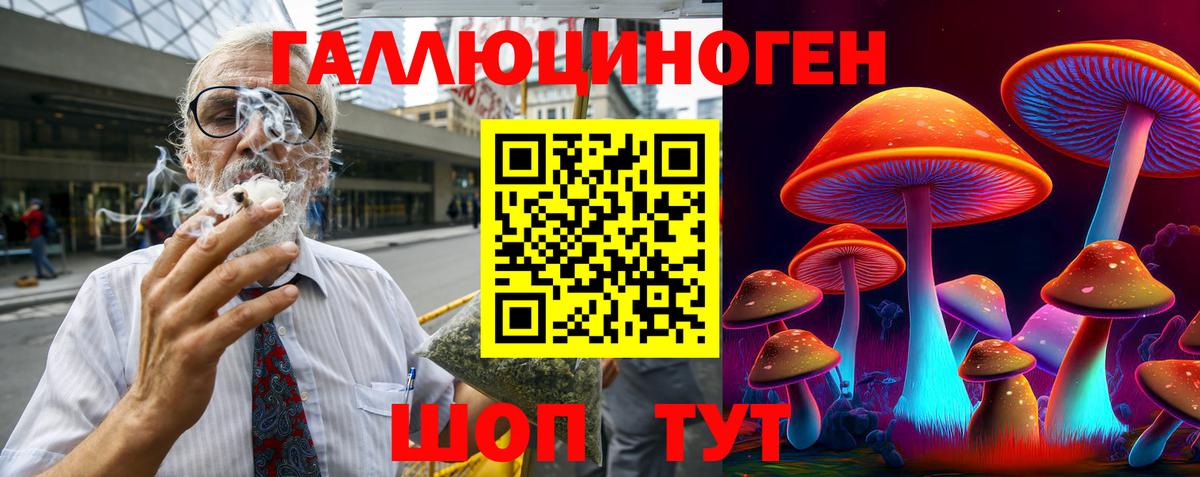 Псилоцибиновые грибы GOLDEN TEACHER  купить   Псилоцибиновые грибы Psilocybine cubensis  Усолье-Сибирское  Вход с VPN 